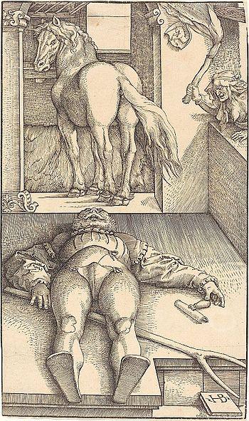 Baldung stallknecht