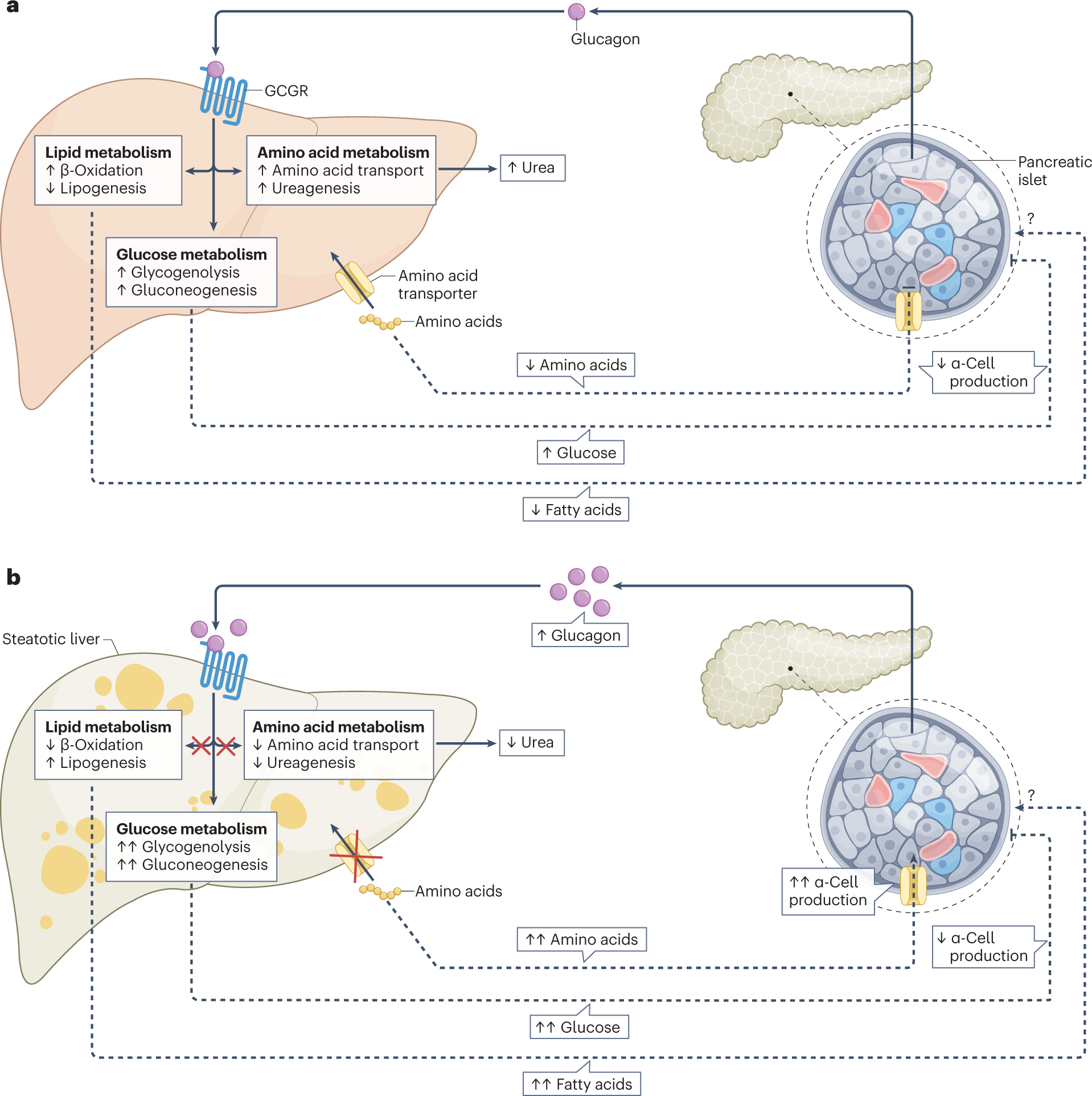 41574 2023 817 Fig2 HTML