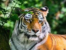 fb9ce11c-3f77-43d8-a533-6fc7aa98e90e