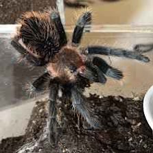 fd275804-597e-4f4f-9e31-a0a236ac0b7c