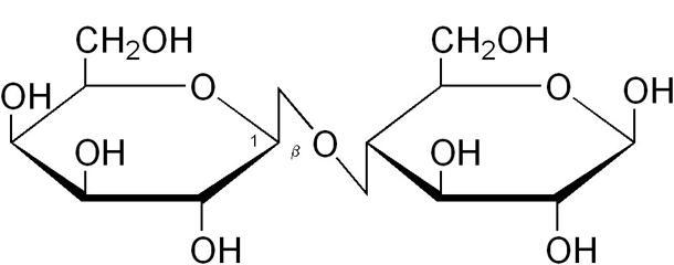 6a1dbee3-af91-46ce-9063-674c0963448a