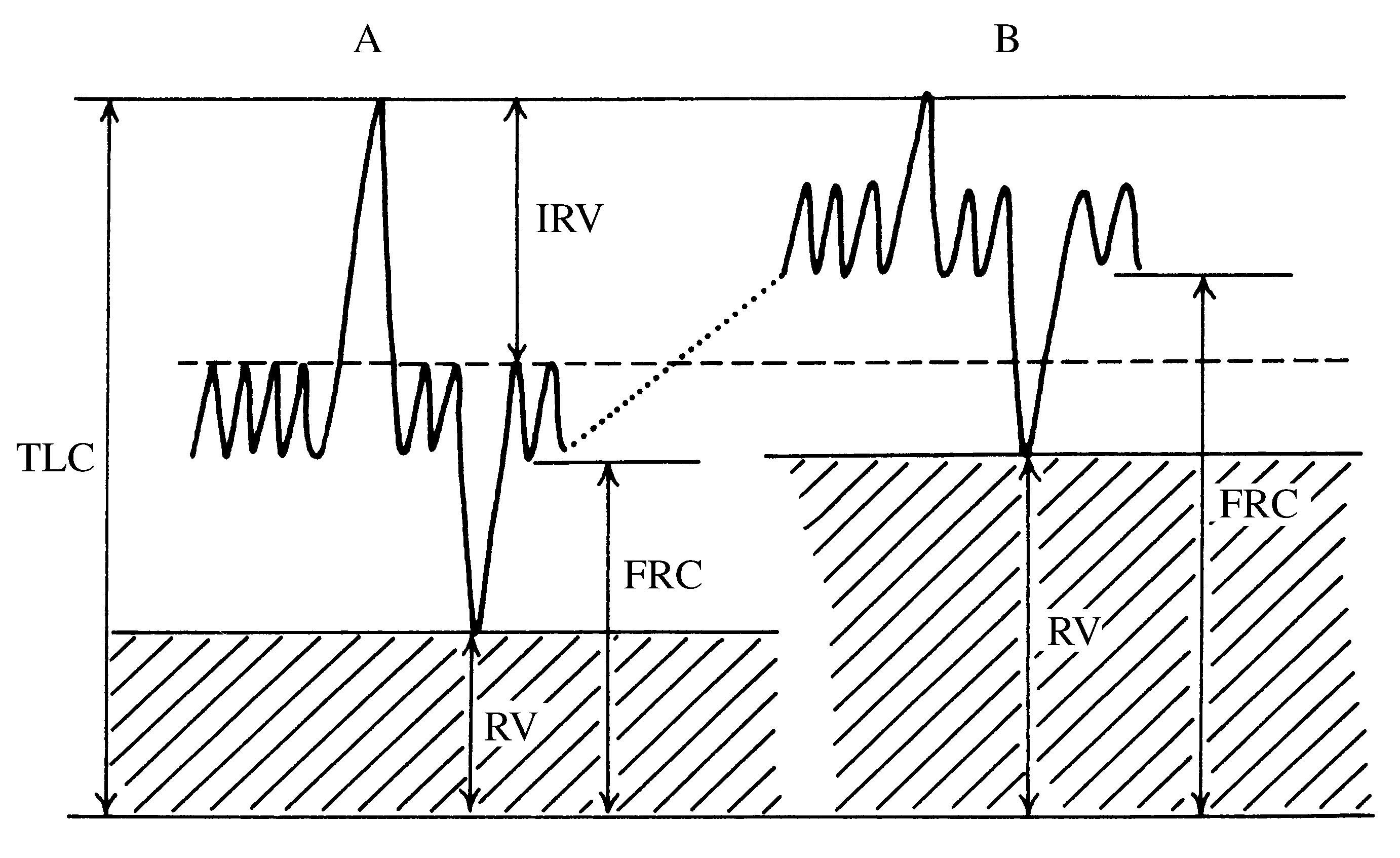 2021 Patologicka fyzio 1 Page 362 Image 0001