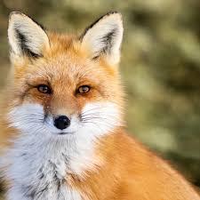 c16add76-fe59-4c83-a5fc-df3381c1cb3e