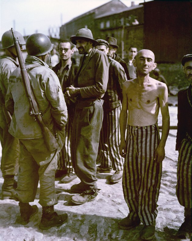 JB80e6dc profimedia 0147426889