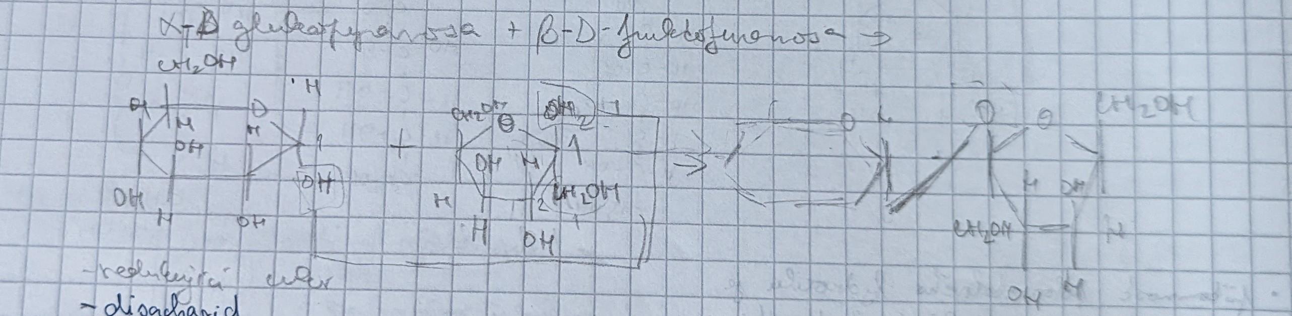 PXL 20220930 105143926 2