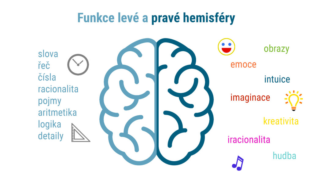 funkce-hemisfer-predelano-1024x626