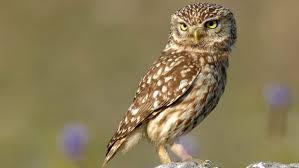 c37685e0-a9be-405d-b8b4-beec0860fa6e