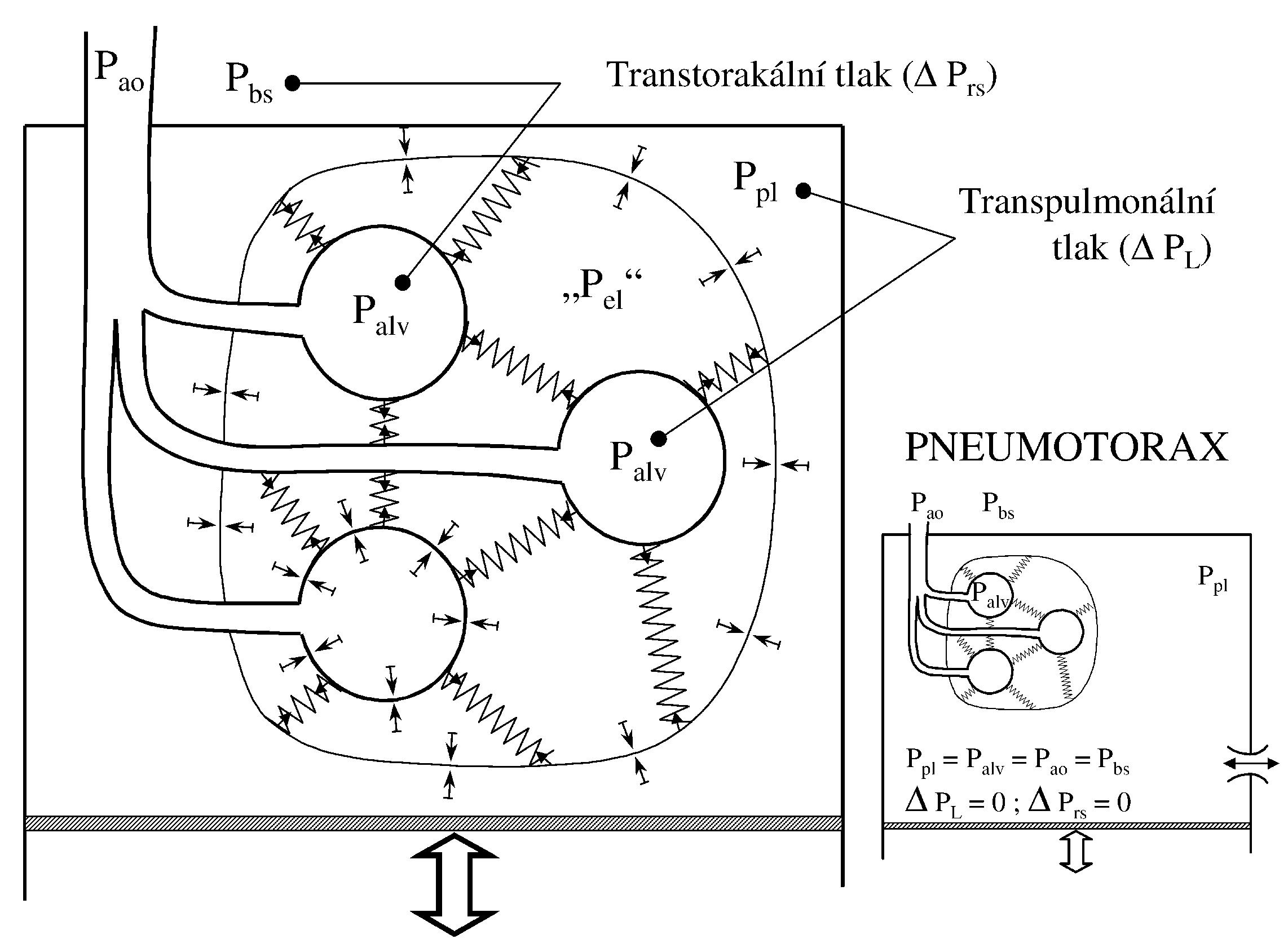 2021 Patologicka fyzio 1 Page 307 Image 0001