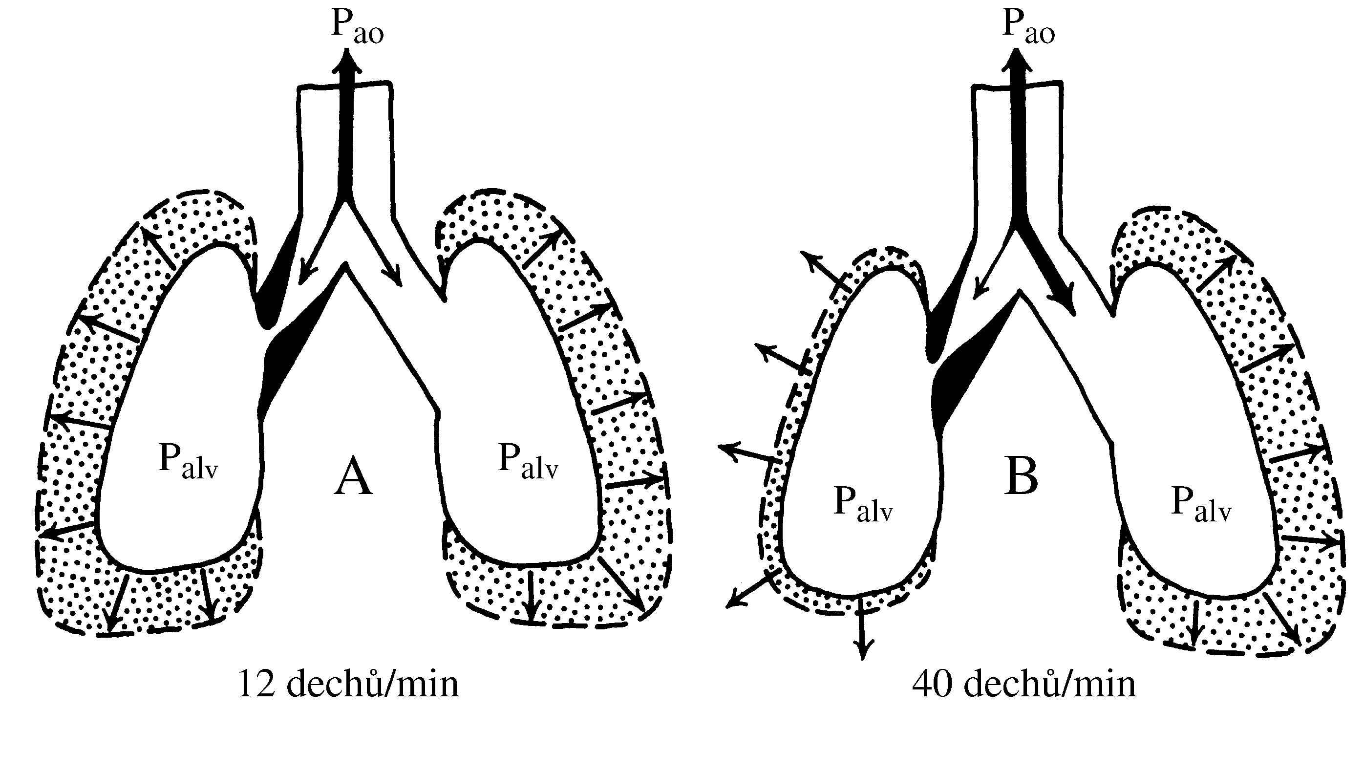 2021 Patologicka fyzio 1 Page 323 Image 0001