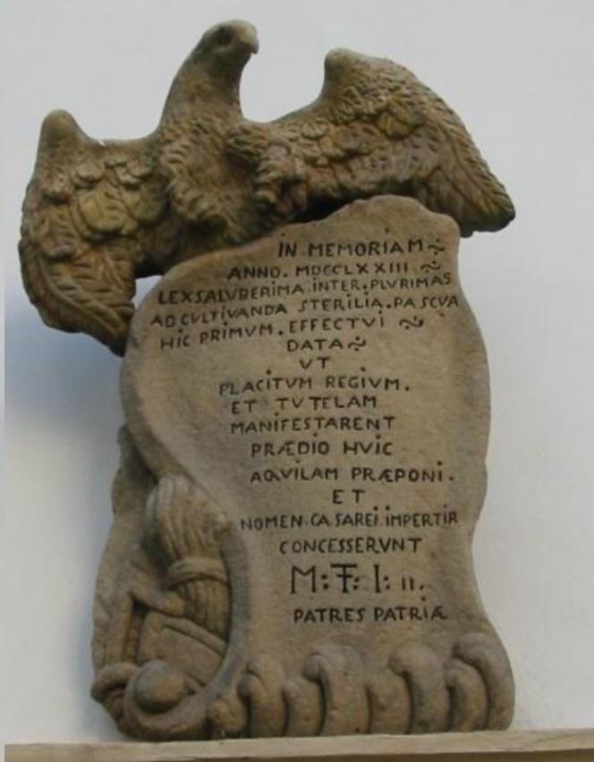 MicrosoftTeams-image(15)