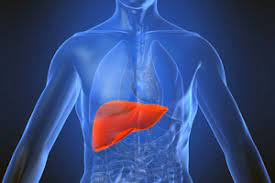 c41feedb-d687-4419-81e3-99a2a953e95c