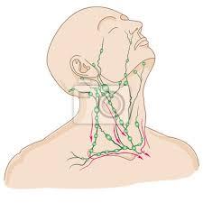 c475d93a-ea46-4d0f-b018-c2e08698db9b