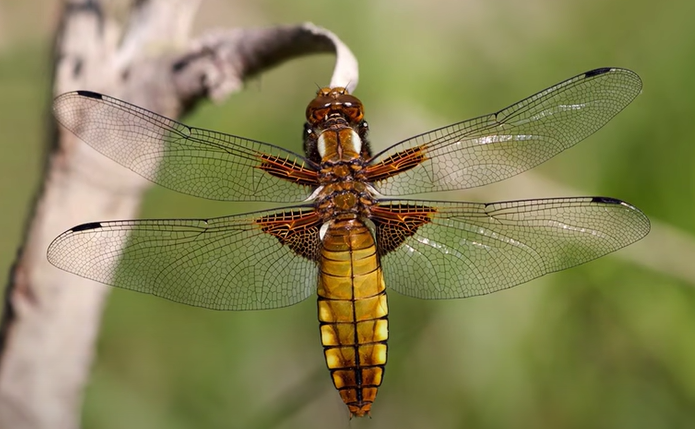 CRGrZ0iQdDDaQ7yEqEaQBy