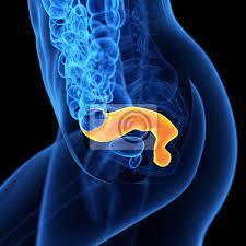 c5f7f164-2b96-4a8a-aff1-f167970f8538