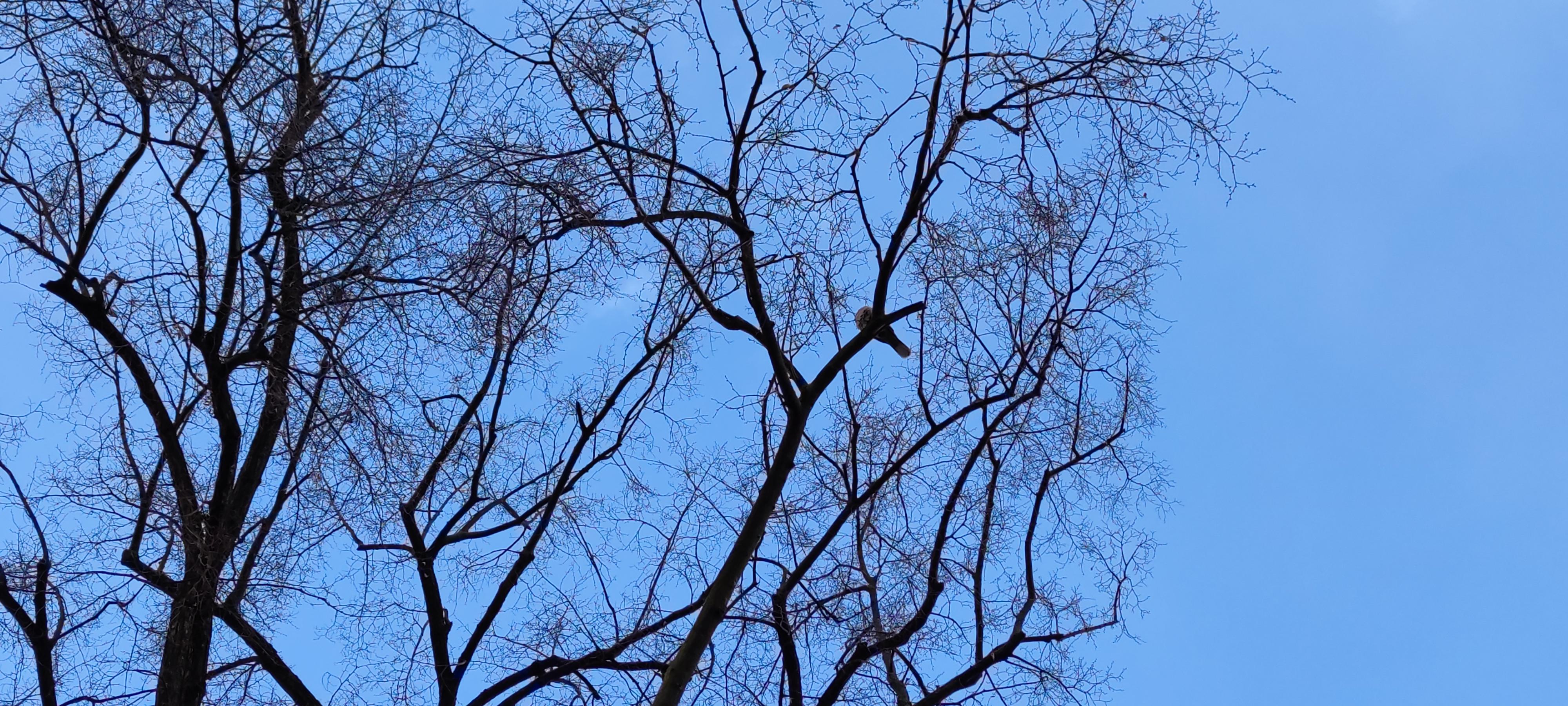 16178102707923873423567913102757