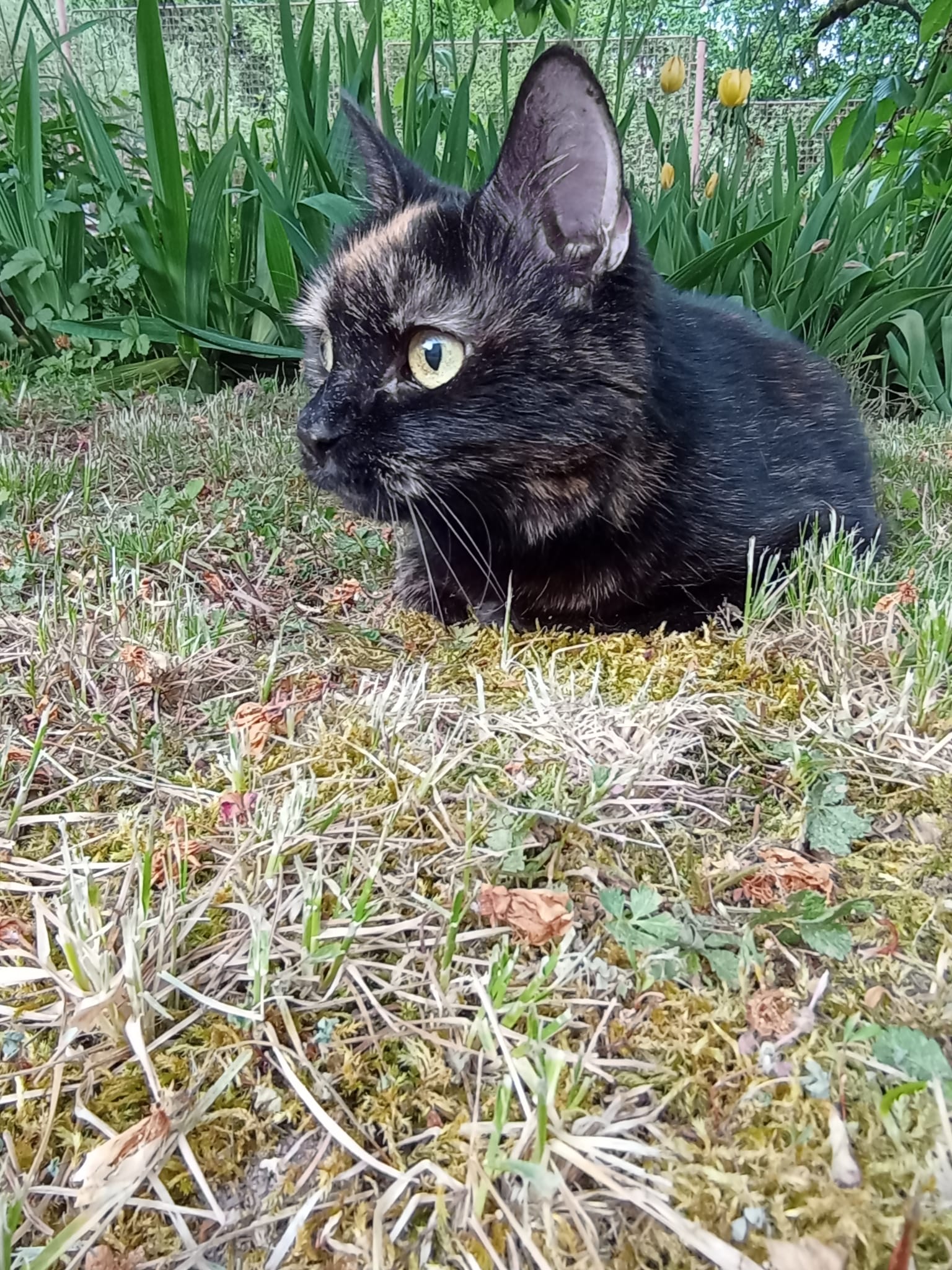 43546ccf-a4c5-4022-b7b8-b62ed52c2a6c