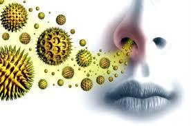 c67fd5e8-b6d8-4c1a-aa45-2adc2bae0497