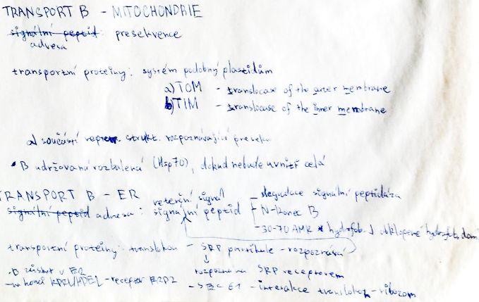 Transport bílkovin – mitochondrie