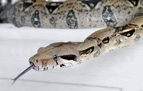 c6c9d526-7758-47e5-ad01-520907f22584