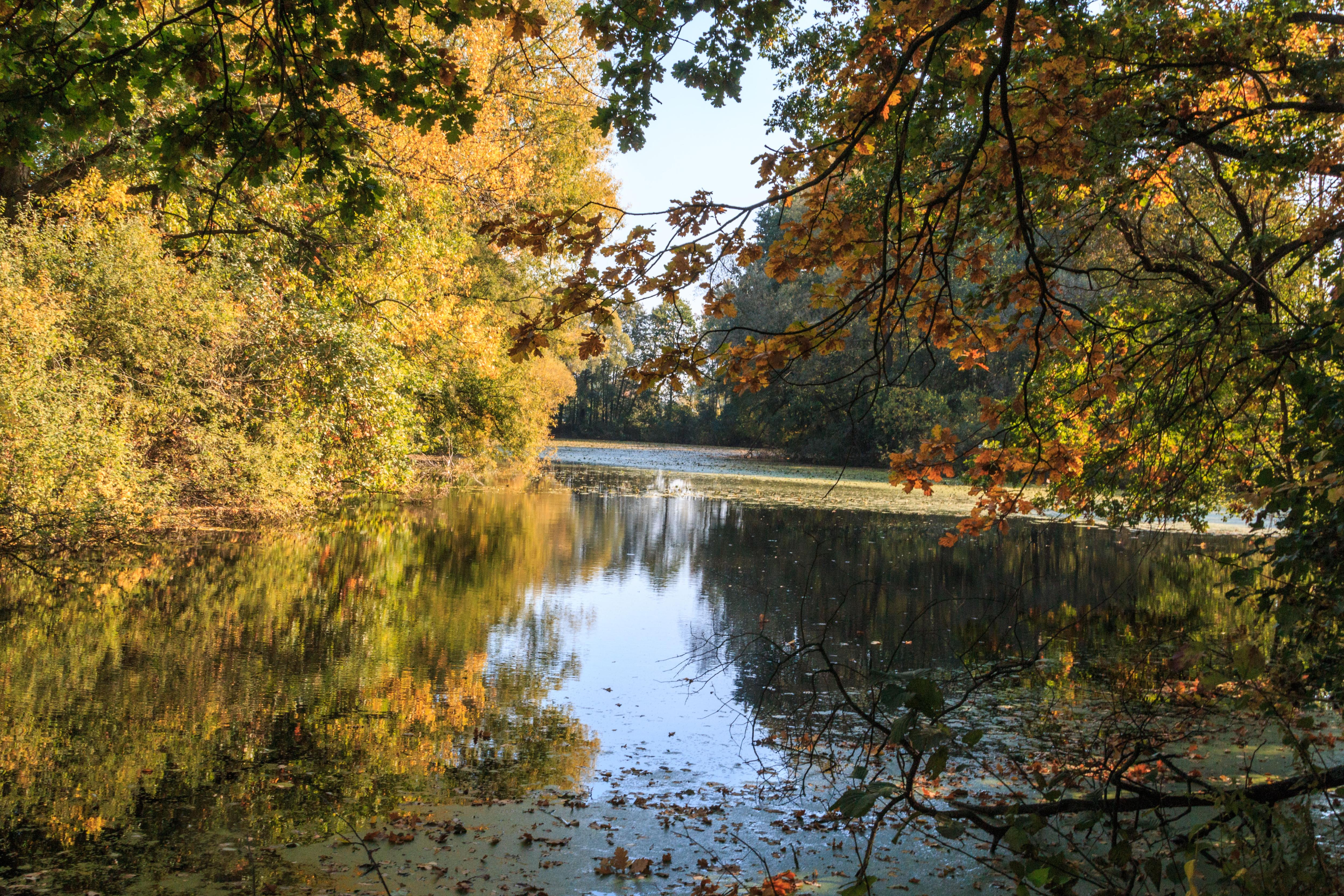 Binarovo jezero 03