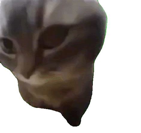 c7c9be8f-5a95-4ce7-9adf-db6cc981be7c