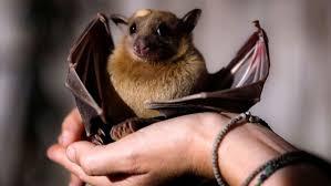 c8db7ee9-703c-4cae-a00a-f1a7a6513961