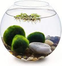 c802c1d8-4db1-44ff-a767-ceab2ec65171