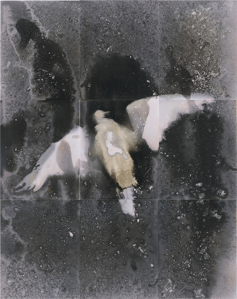 tumblr 2620fcb380d9c1f37f20b28b2d7ba44d 11246b8c 1280