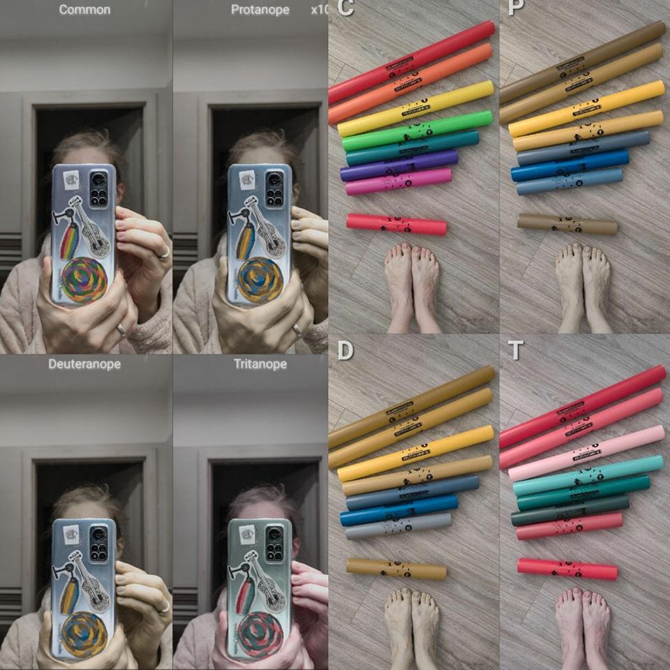 271900722 107949371782000 4824379604899854627 n