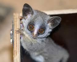 c8705514-81e5-4a57-8425-0b2401fc91c9