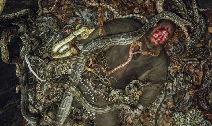 Travis-Fimmel-Ragnar-Lothbrok-Vikings-3078819