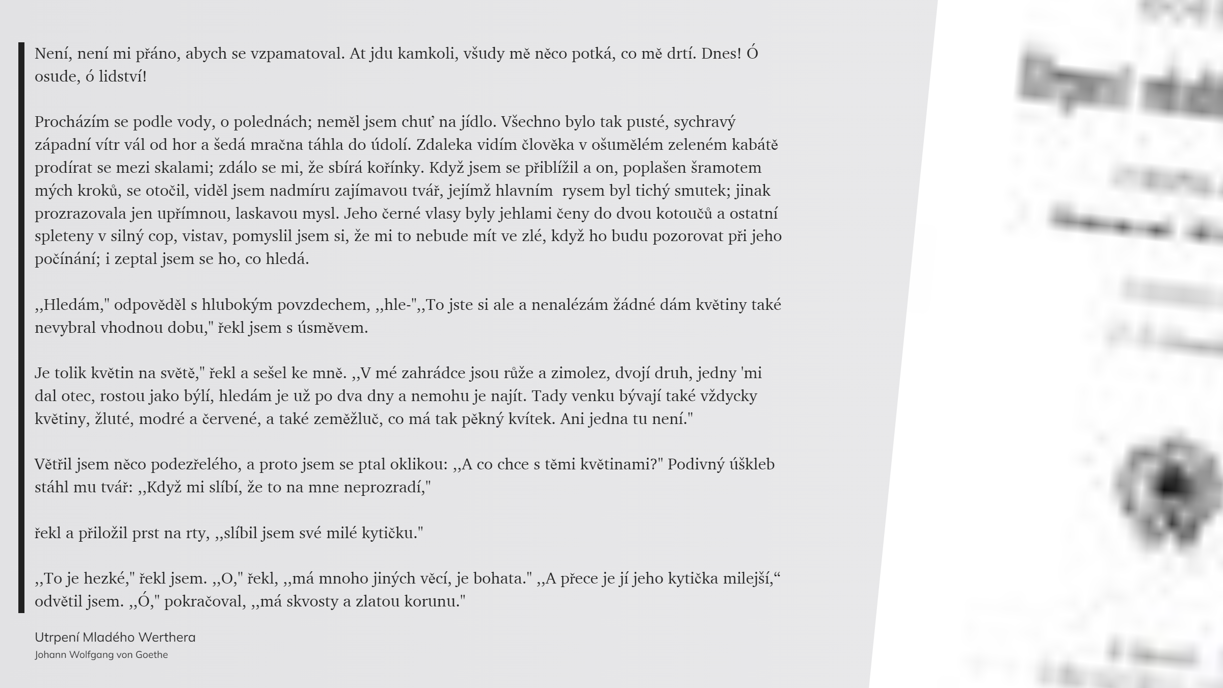 Utrpení Mladého Werthera (44)