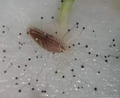 cbd160ae-df30-477f-9e24-1ce2a53641d2