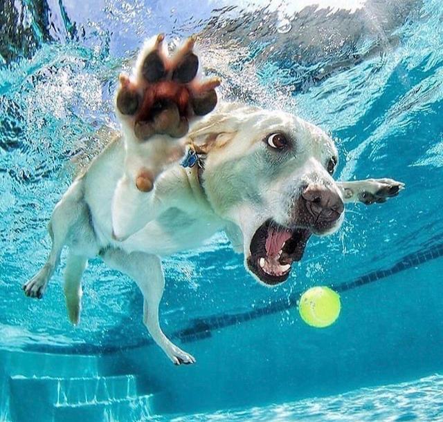 DF7869BA-E8D3-4783-AC72-DB00E635199C