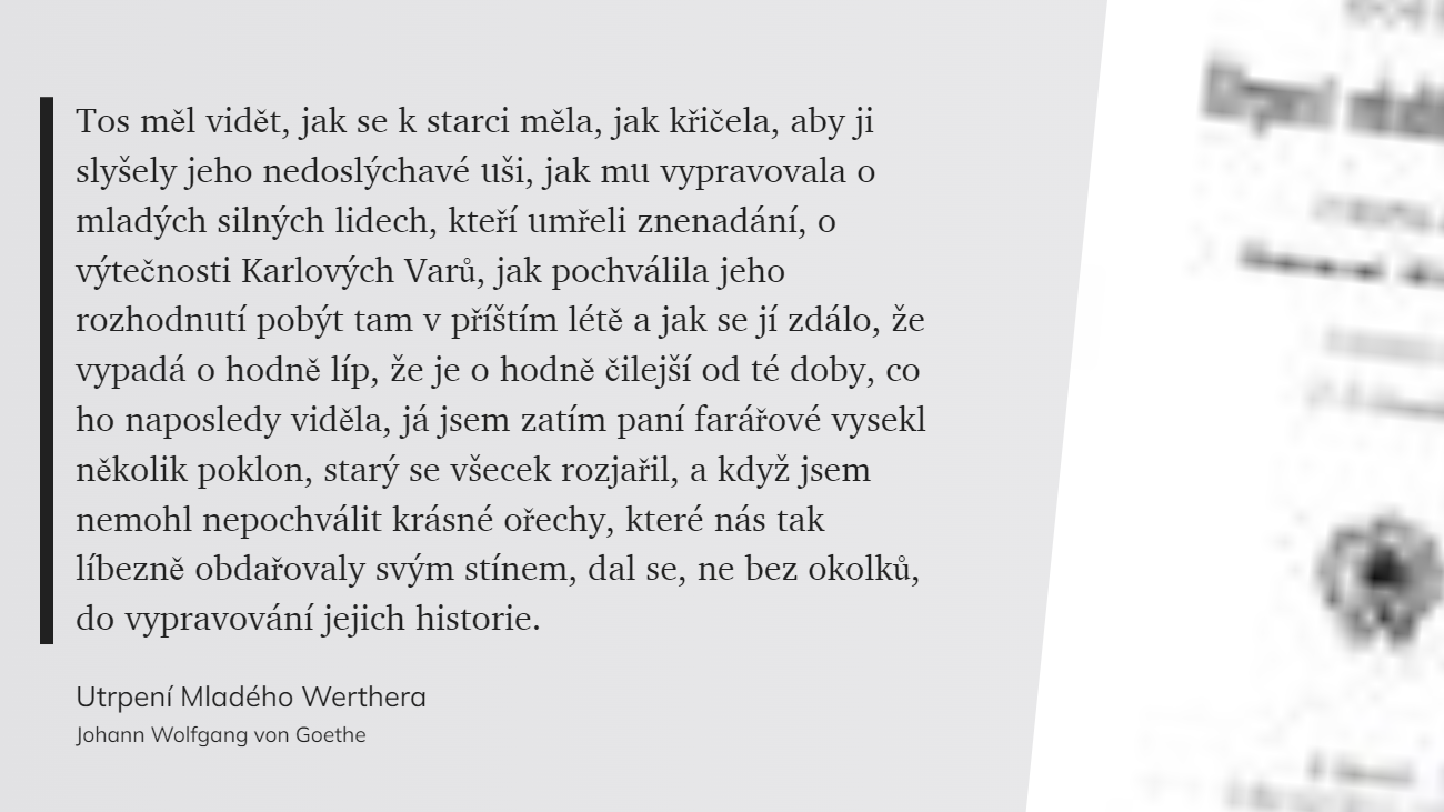 Utrpení Mladého Werthera (12)