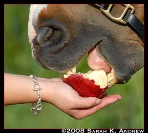 2659658105 d8bccd69f1-300x268