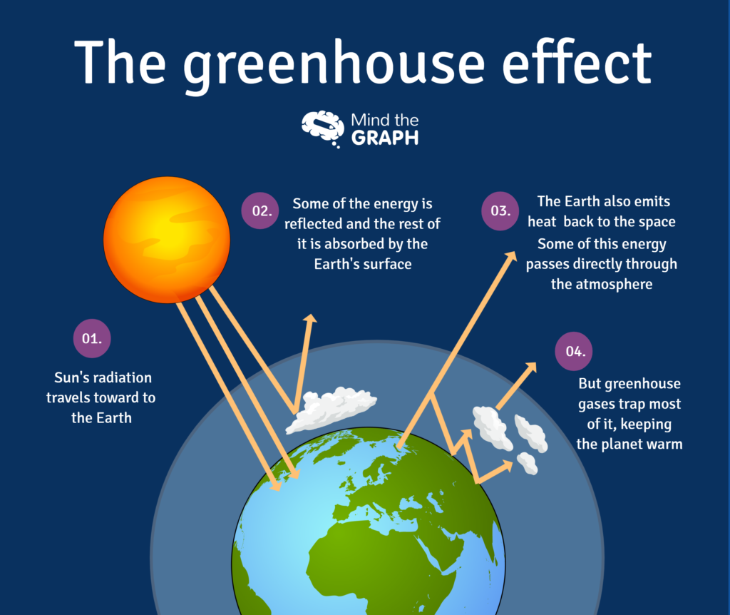green-house-effect-mind-the-graph-1024x862