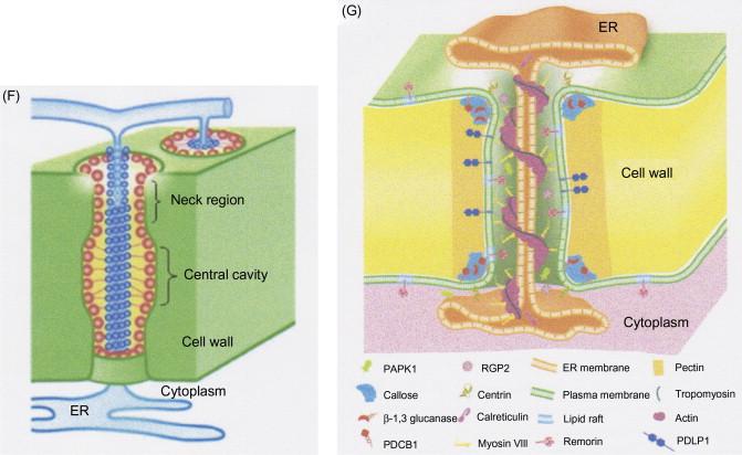 3-s2.0-B9780123848710000108-f10-09b-9780123848710