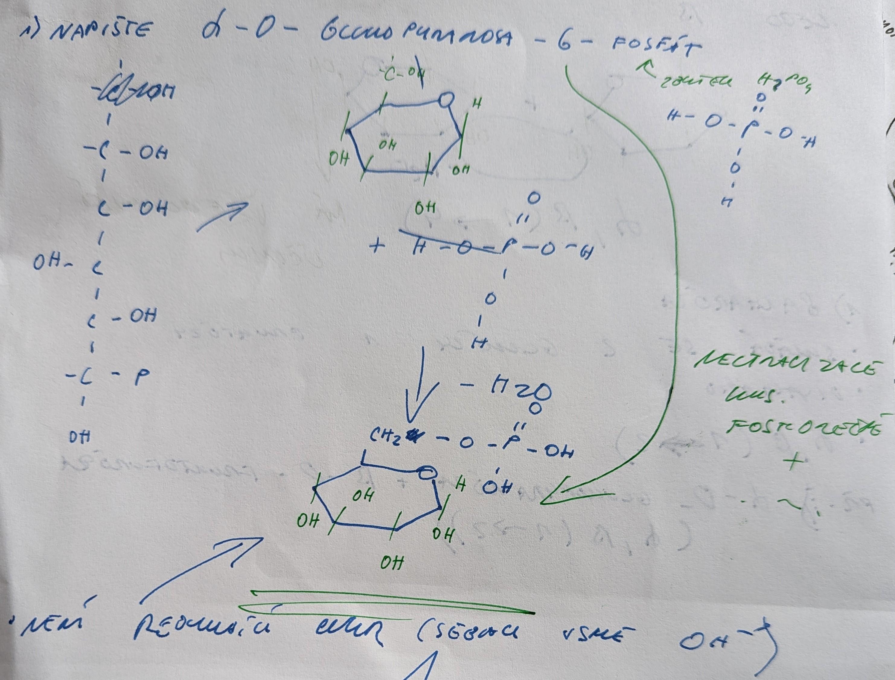 PXL 20221001 110749556 2 (1)