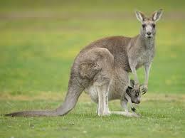 cd0daac6-b3b7-465e-8f84-4a1af643a942