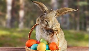 cd658d08-a53e-46bf-8df6-739f948e1ef2