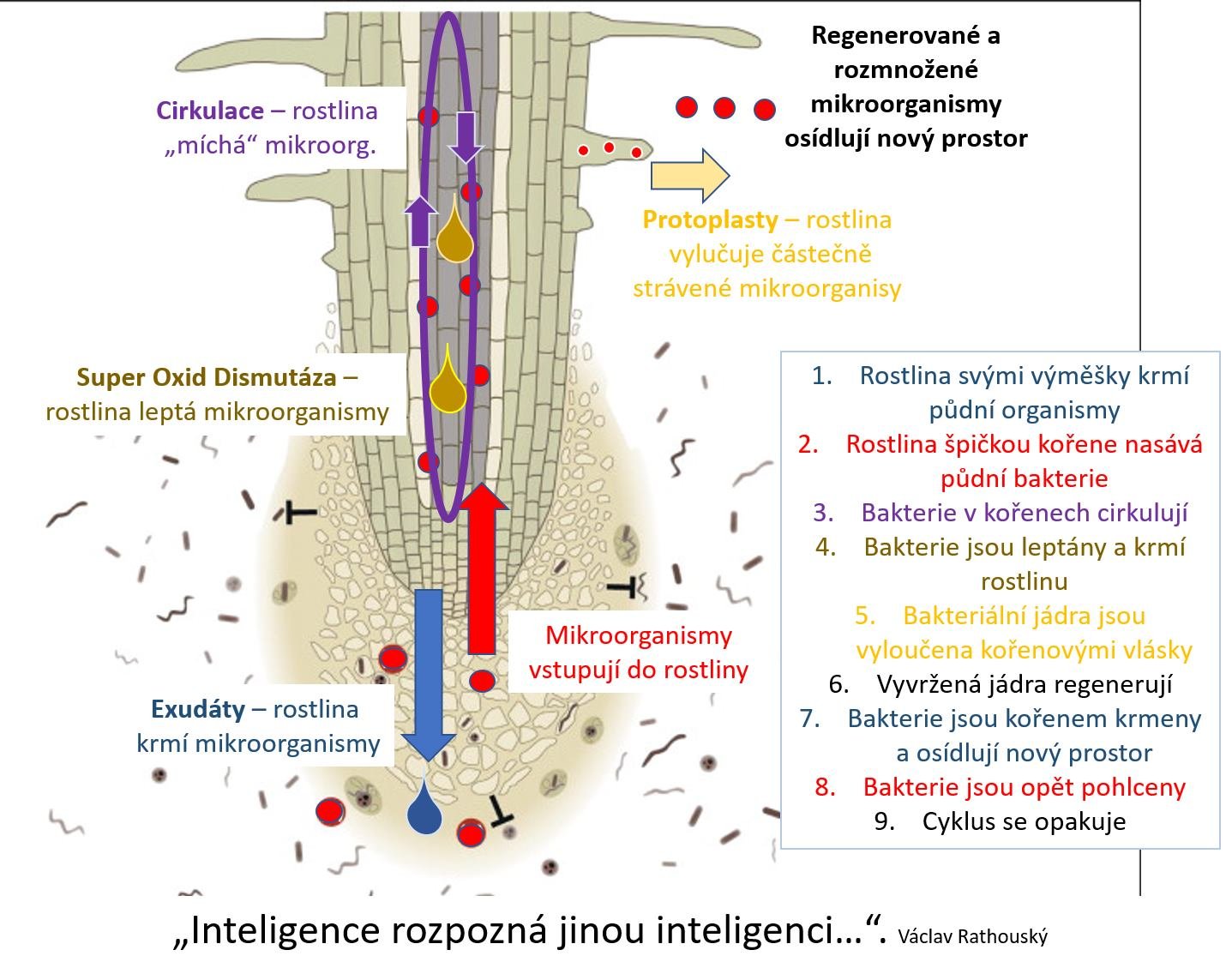 298765783 919858792740873 4946544764325792534 n