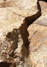 cee5bd15-9064-42cb-beb3-13ef42771125