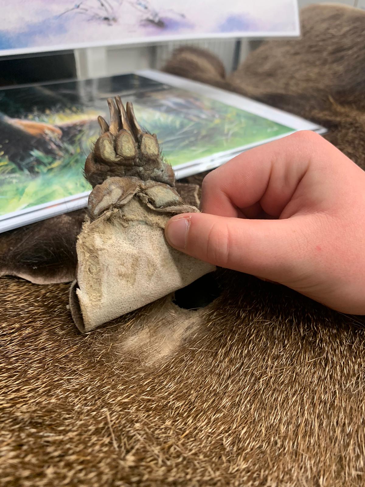 365375ff-2fdb-4b44-b05f-7456dd46ba43