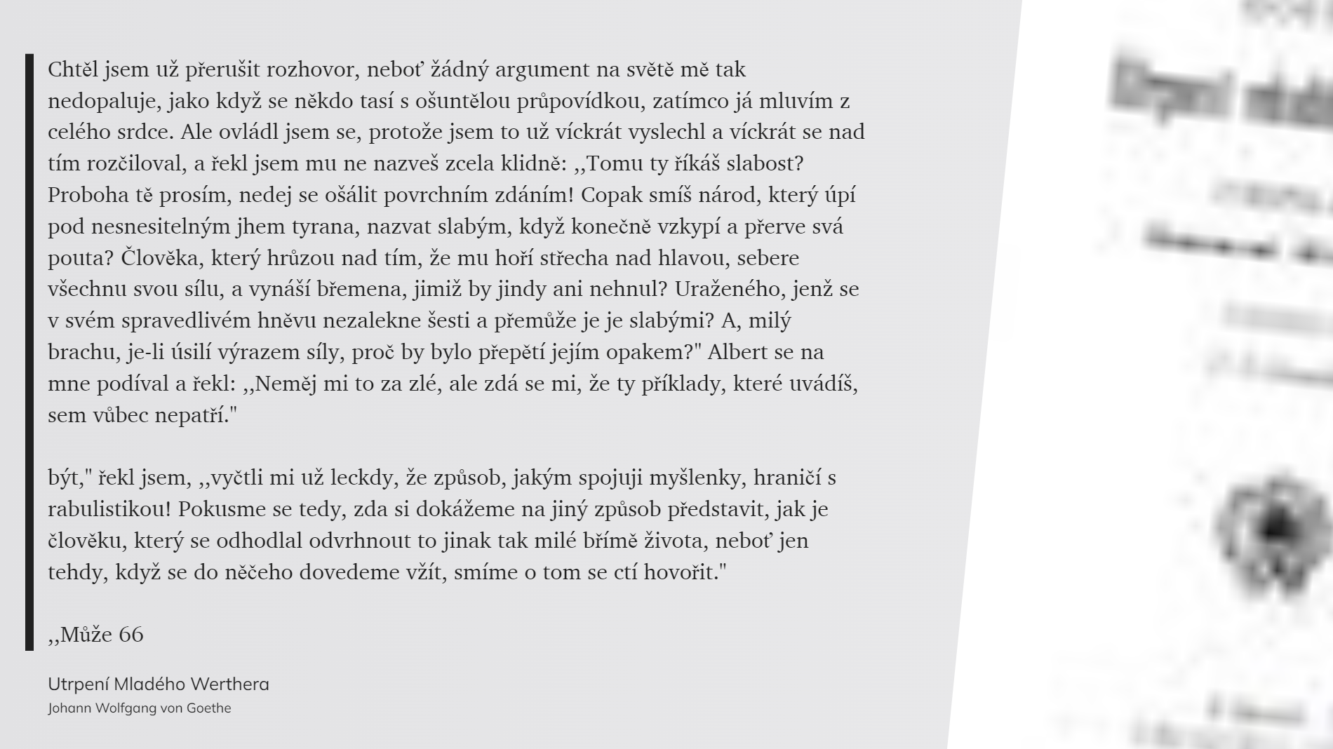 Utrpení Mladého Werthera (23)