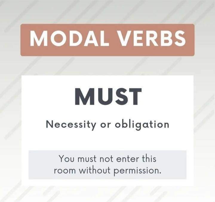 FB IMG 1690059221414