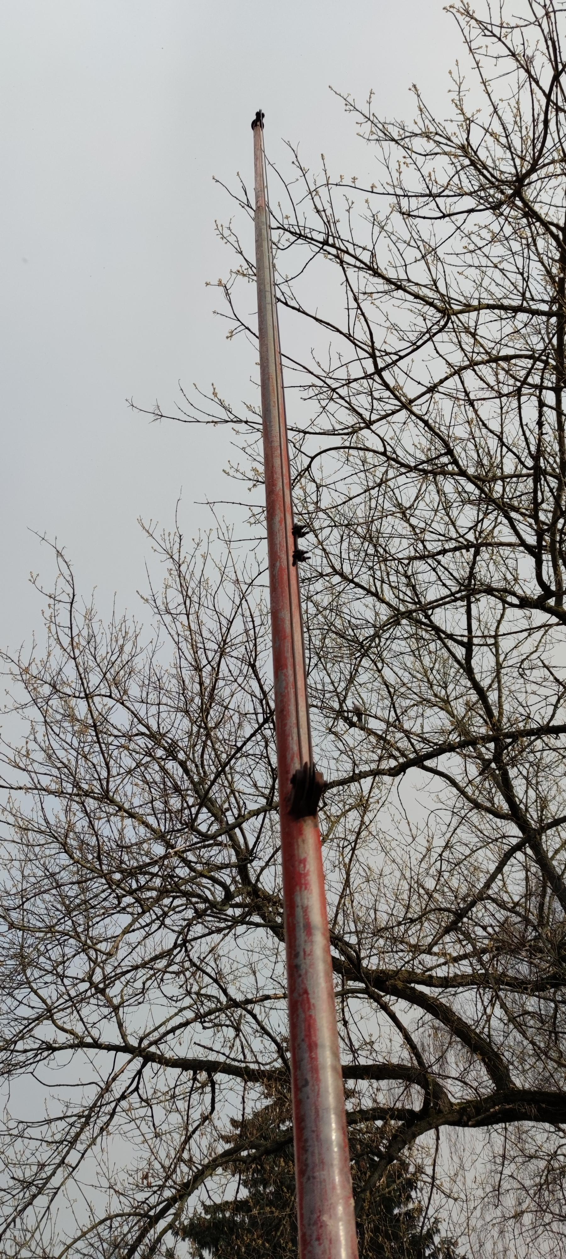 16178090767459157496411370113335