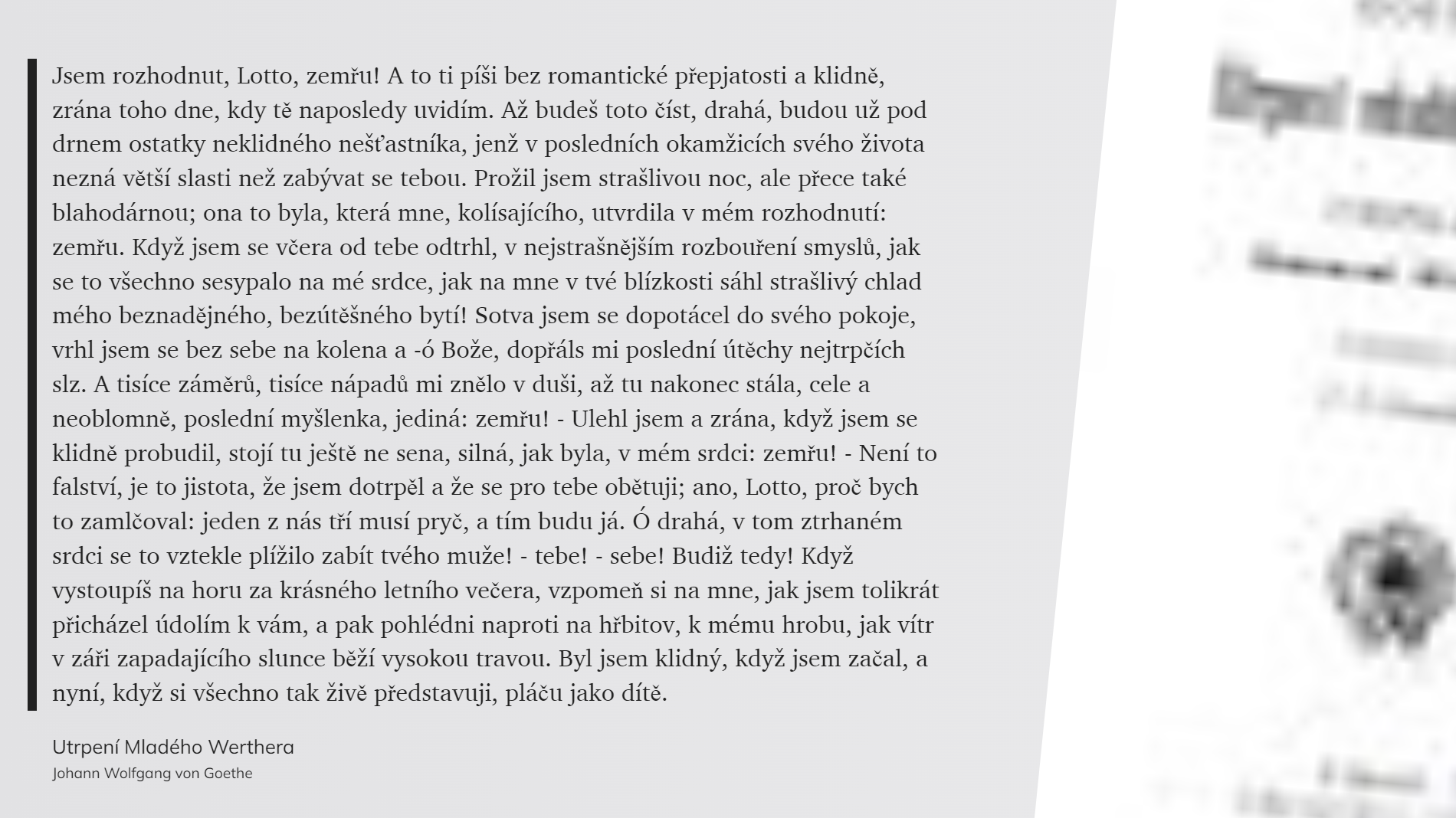 Utrpení Mladého Werthera (49)