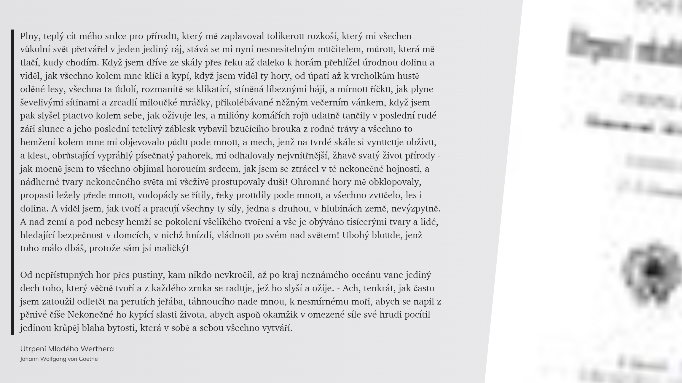 Utrpení Mladého Werthera (26)