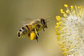 d0ff2fa0-58fe-4b5a-a1ef-8e559894ea2e